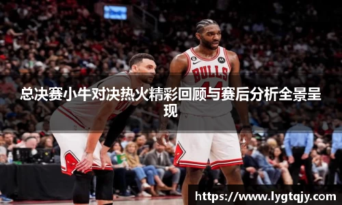 总决赛小牛对决热火精彩回顾与赛后分析全景呈现